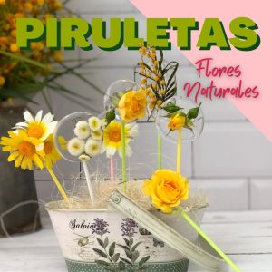 curso online de piruletas de isomalt con flores naturales