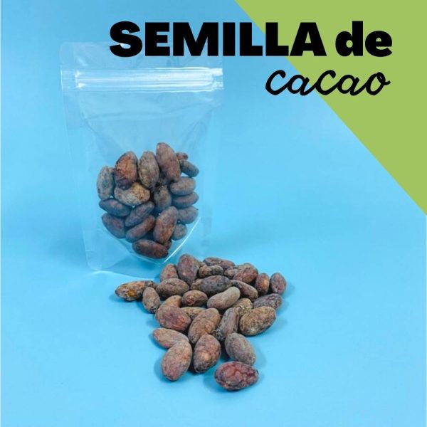 Semillas de cacao