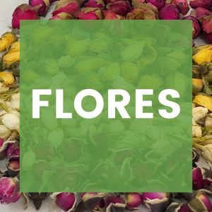 Flores