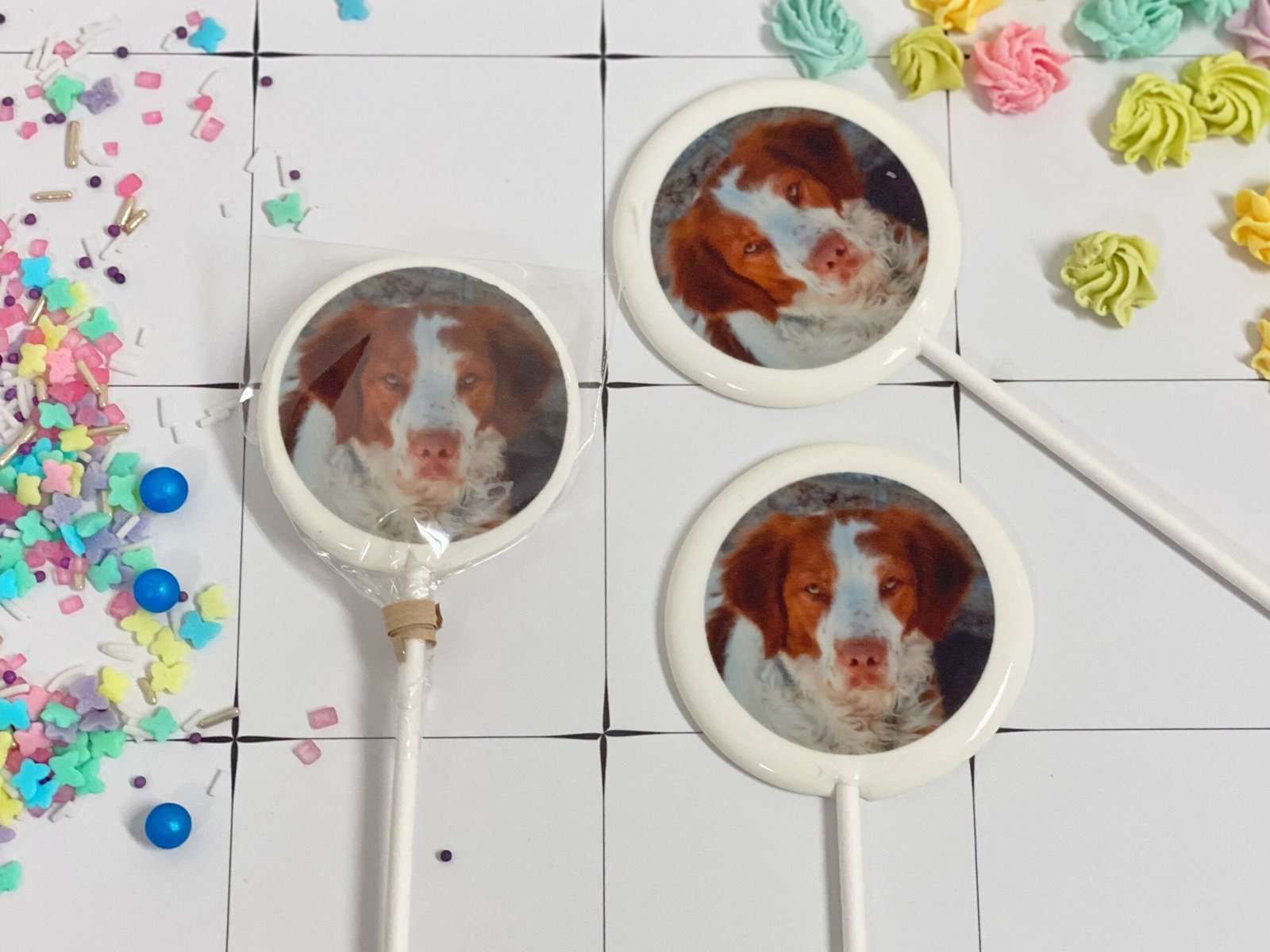 Piruletas personalizadas fotos de mascota - Imagen 5