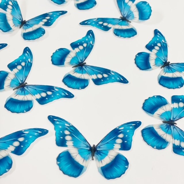 Papillons bleus gaufrettes – Image 2