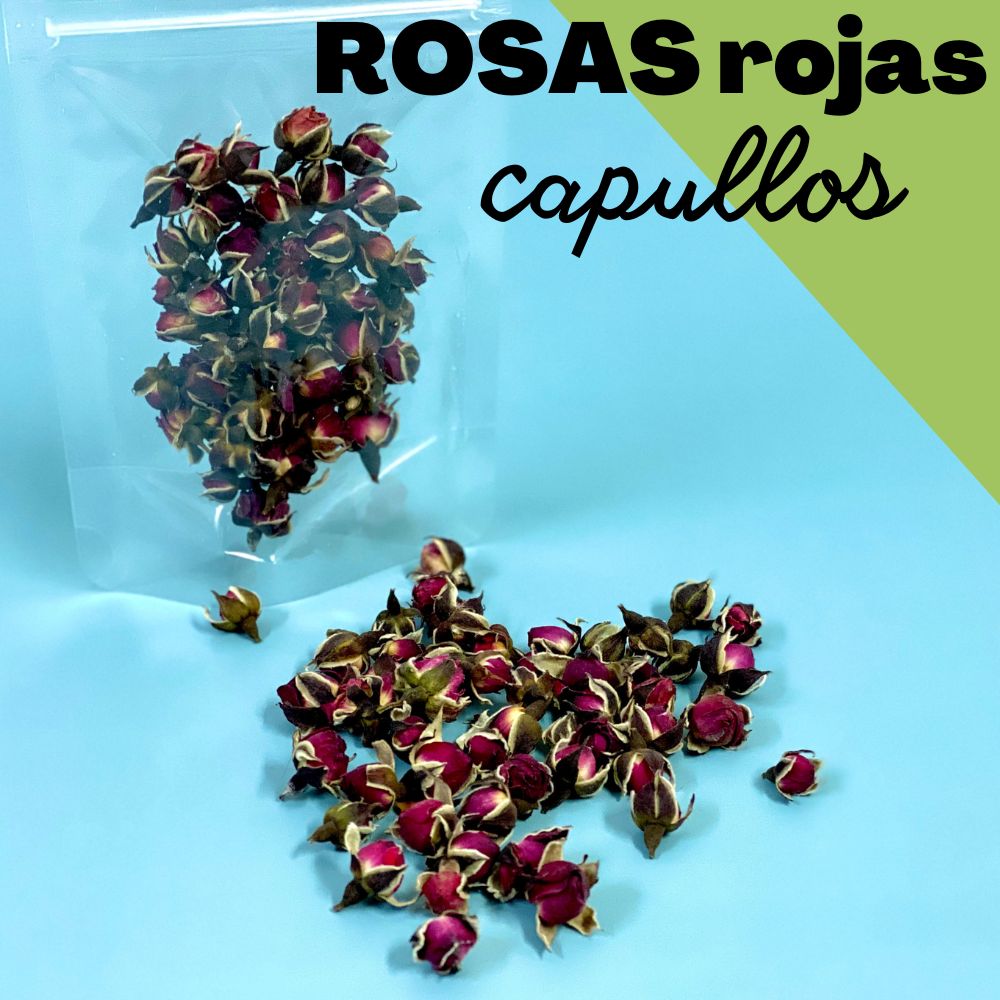 Mini-Rosenknospe